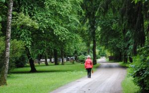Waldfriedhof in München