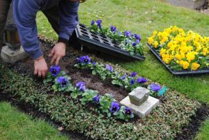 Ganz nach Kundenwunsch werden die Grabstätten, die von Friedhofsgärtnern betreut werden schlicht oder auch außergewöhnlich gestaltet.