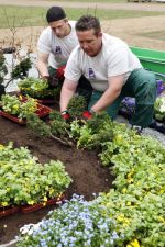 Im Frühjahr gestalten Friedhofsgärtner die Gräber mit frischen Blumen und Staudengewächsen. So wird der Friedhof zur blühenden Oase.