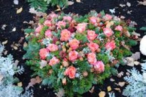 Herzförmiges Gesteck aus immergrünen Ästen und Rosen