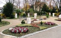 Herbstbepflanzung der Gemeinschaftsgrabanlage am Friedhof in  Augsburg